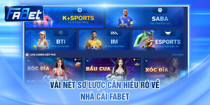 Vài nét sơ lược cần hiểu rõ về nhà cái FABET